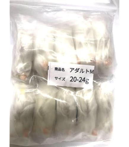 Amazon | 国産 冷凍マウス アダルト10匹 | しあわせをよぶふくろうの城